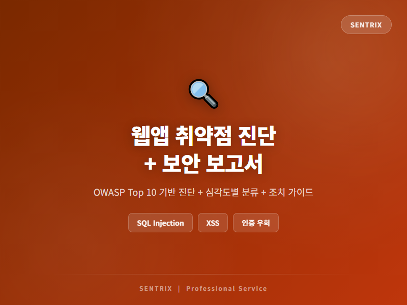 웹 취약점 수동 진단 + 모의침투 리포트